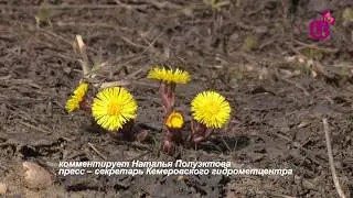 Какой будет погода
