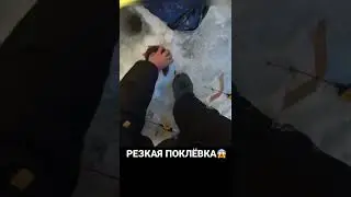 РЕЗКАЯ ПОКЛЁВКА 😱 #рыбалка #река #поклевка #тайга #зима #подсечка #лунка #зимняяудочка #лунка #язь
