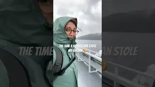 True Story of the Shrimp Thief in Norway #travelstories