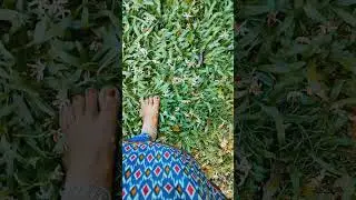 পায়ে ধরি। শিক্ষক সমাজ গোটা জাতি উত্তপ্ত