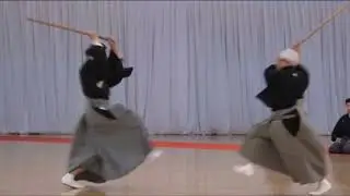 Yagyu Shinkage Ryu