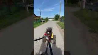 Гоняем с псом по деревне на мотоблоке