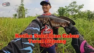 CASTBAR IS THE SAME TEMPERATURE AS SNAKEFISH