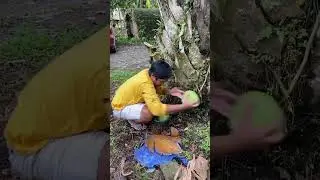 kumpulan short #3