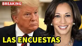 Trump PERDERÁ el 2024; encuestas favorecen a Harris
