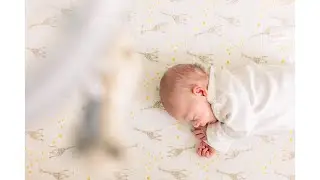 Quinn Newborn