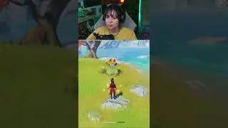 Genshin is a little glitchy
