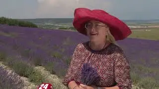 ООО «Лаванда»