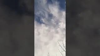 сказочное явление 