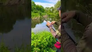 Безбородый крючок и форелевая личинка 🐛