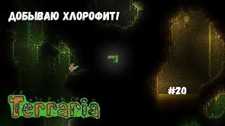 I follow the florophyte ore into the jungle! Terraria part 20