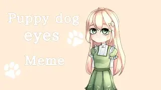 Puppy dog eyes | animation(?) meme