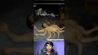 Man is 8 hand￼🤚💯🤯