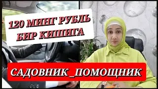САДОВНИК_ПОМОЩНИК КЕРАК.ЯНГИ ИШ УРИНЛАРИ.08.07.2024