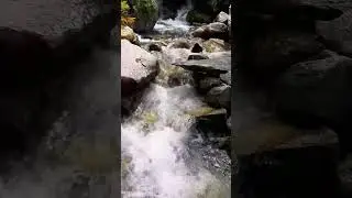 Şu hayattır                