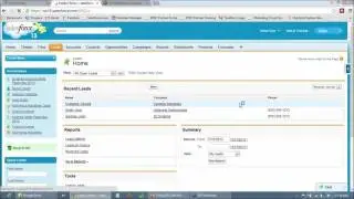 Optimizing Campaigns and Lead Management in Salesforce