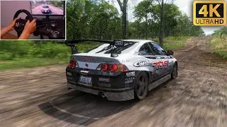 Acura RSX Type S - Steering Wheel PXN V10 | Forza Horizon 5 Gameplay