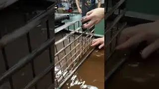 Bottle cap wood grain water transfer printing
