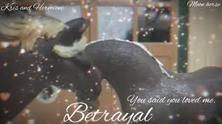 Betrayal