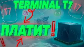 Terminal T7 Получаем USDT каждые 8 минут