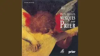 Je vous salue Marie (Instrumental)