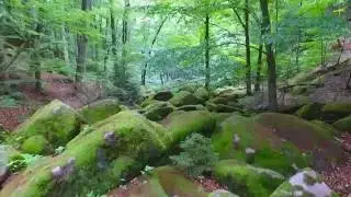 Phantom 3 Advance - Vlčí rokle (wolf ravine)