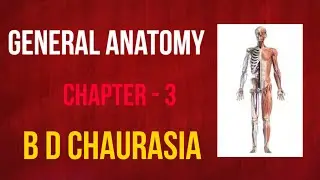 General Anatomy | b d chaurasia Handbook- Chapter 3 ( PART- 1 ) | JOINTS