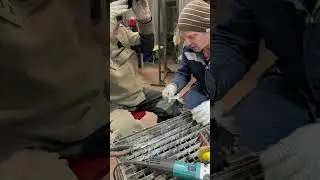 Обучение tig сварке