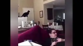 Nice try kitty, but unsuccessful