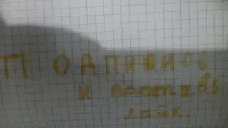 Приехал в Капибарск