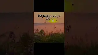Задаю вопросы к лету день 9