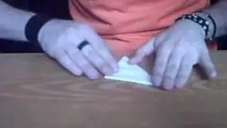 ¿Como hacer un zorro?