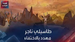 هل تتخيل أن الكنز الأثري طاسيلي ناجر مهدد بالزوال؟ تعرف على السبب