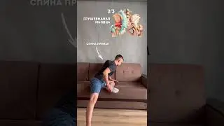 Pelvic tilt? Do these exercises!
