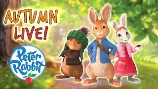🔴 @Peter Rabbit  - Amazing Action-Packed 