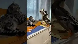 Типичная общага...