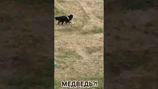 11 сентября 2024 г.