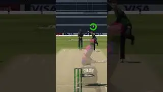 Hitting a Slog Sweep on Cricket 24