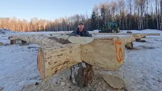 Building My Log Home Pt. 3 - Setting the First Logs!