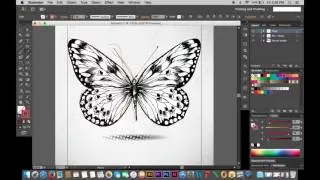 X-Ray Vector Image Tutorial in Adobe Illustrator