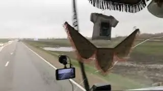 Краснодарский край выехал из Белореченска.