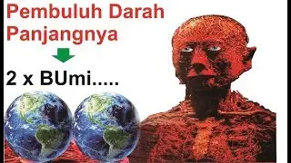 5 Fakta menakjubkannya organ tubuh manusia
