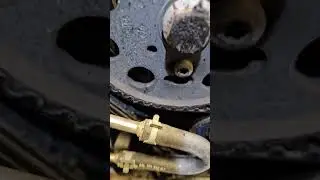 The timing belt was squeaking so the mechanic lubricated it with grease Audi Q5 2.0tdi 2015 120k km