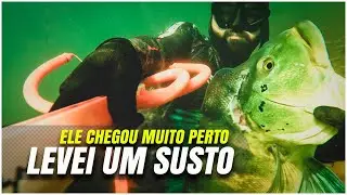 Tucunaré veio na cara - Pesca Sub Atasub