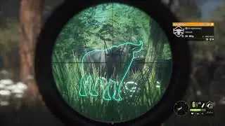 the hunter 3