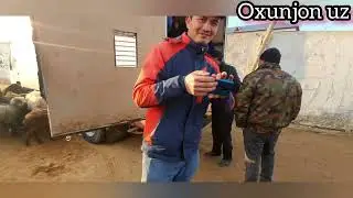XOZAROSP QOY QOCHQOR NARXLARI 2023yil 5 evral