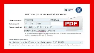 Declarație pe propria răspundere - varianta OFICIALĂ PDF completata pe PC
