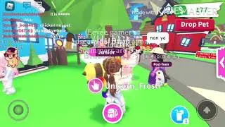 I played Adopt me