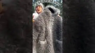 2 сентября 2024 г.