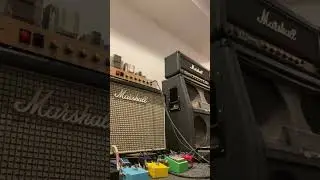 Marshall 2204 into 2x12 with re-coned vintage greenbacks